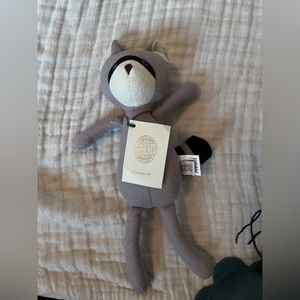 Hazel village raccoon